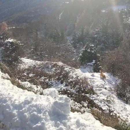 Cal Barral Alpehytte